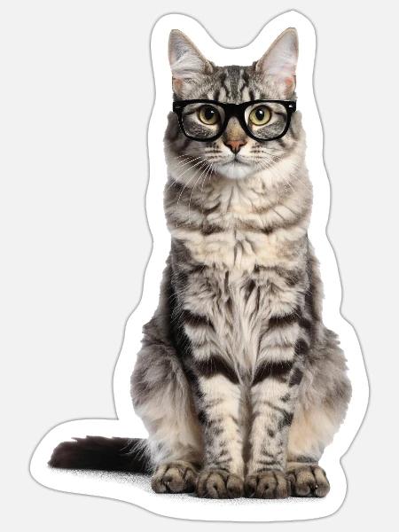 Getigerte Katze mit Brille – Wild at Heart - Sticker Größe S (10 x 10 cm) - Mattweiß
