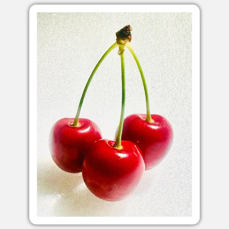 Kirsche Sticker Größe S (10 x 10 cm)