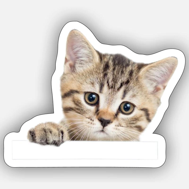 Kätzchen in einer Tasche - Sticker Größe S (10 x 10 cm) - Mattweiß
