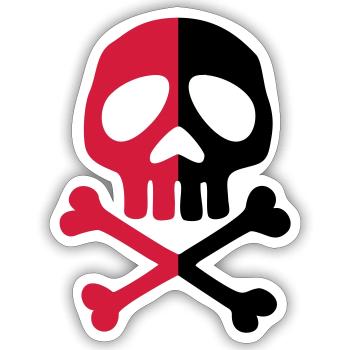 Skull Anarchy Pirate Party Shapes Drawing - Sticker size S (10 x 10 cm) - white matte - Front