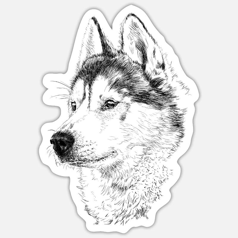 Tarra koko S (10 x 10 cm) - 