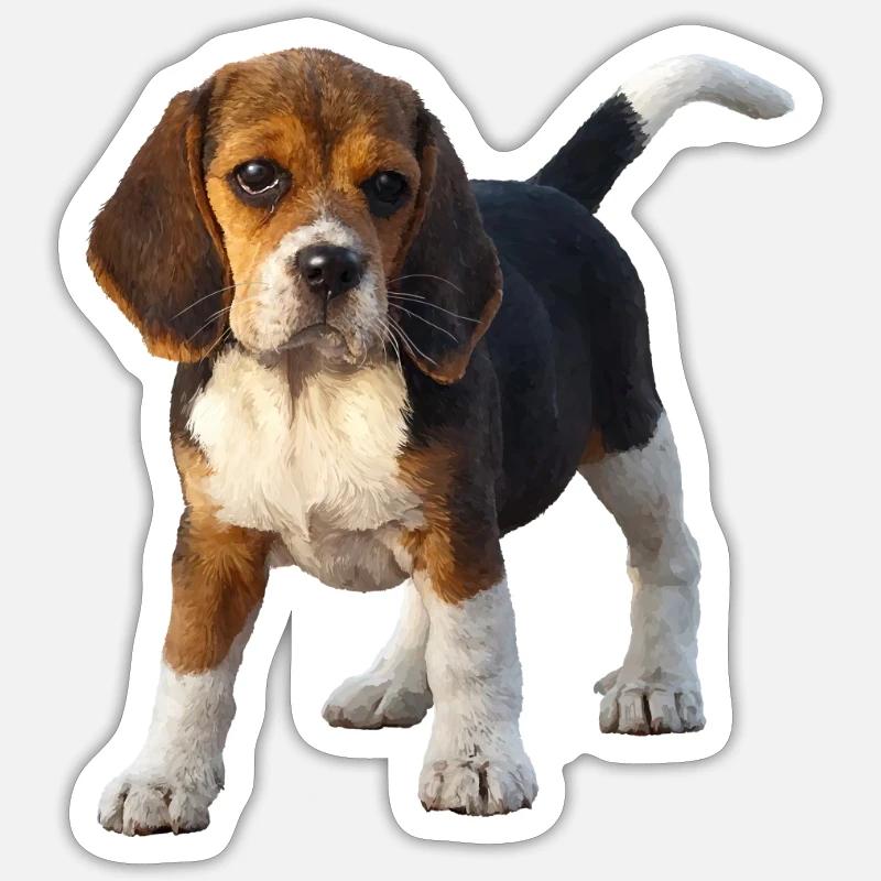 beagle - Sticker size S (10 x 10 cm) - white matte