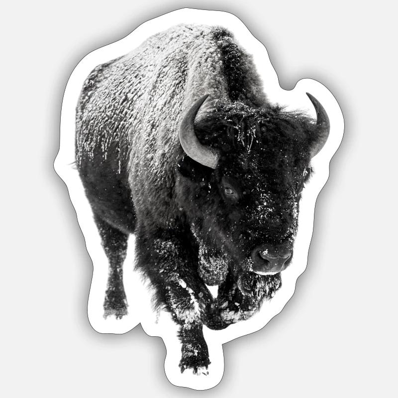Bison - Sticker Größe S (10 x 10 cm) - Mattweiß