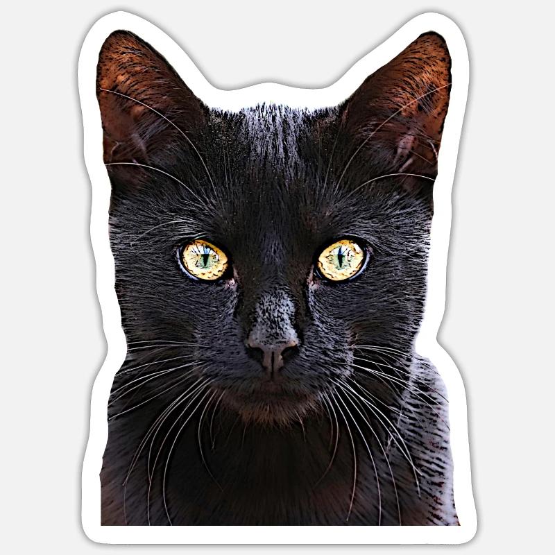 Chat chat cat cats Sticker taille S (10 x 10 cm)