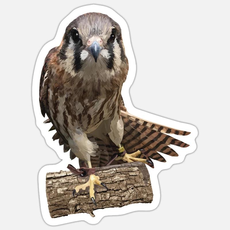 Kestrel Sticker size S (10 x 10 cm)