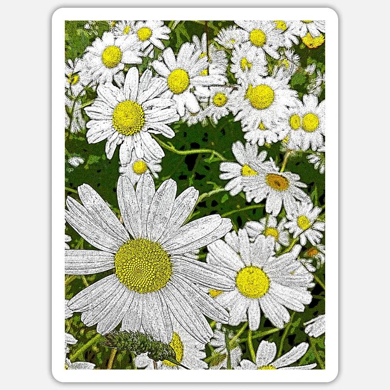 Gänseblümchen Sticker Größe S (10 x 10 cm)