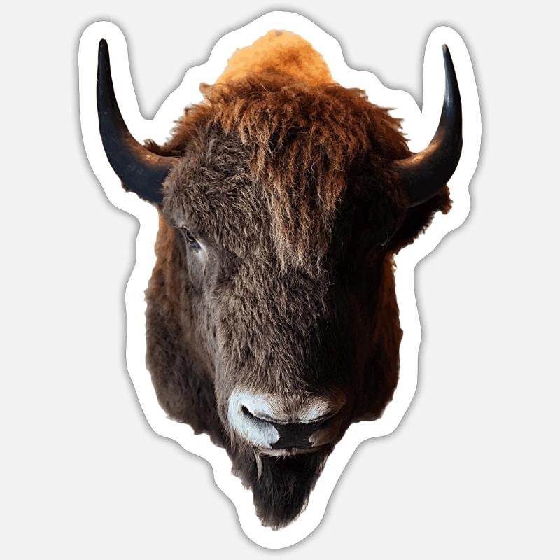 Der Bison wird auch Büffel genannt Sticker Größe S (10 x 10 cm)