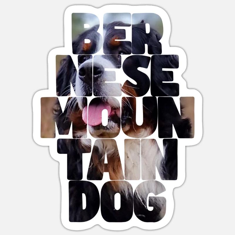 Bouvier bernois Sticker taille S (10 x 10 cm)