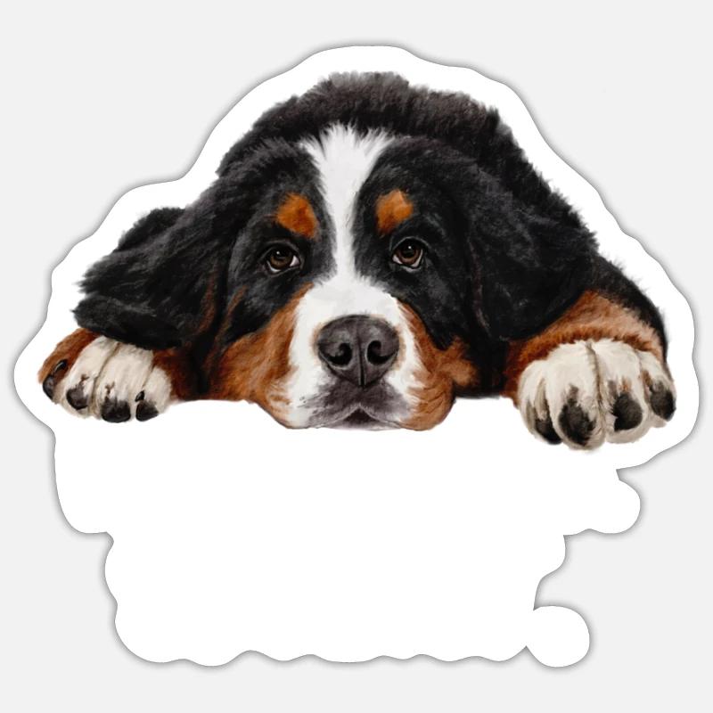 Bouvier bernois - Sticker taille S (10 x 10 cm) - blanc mat