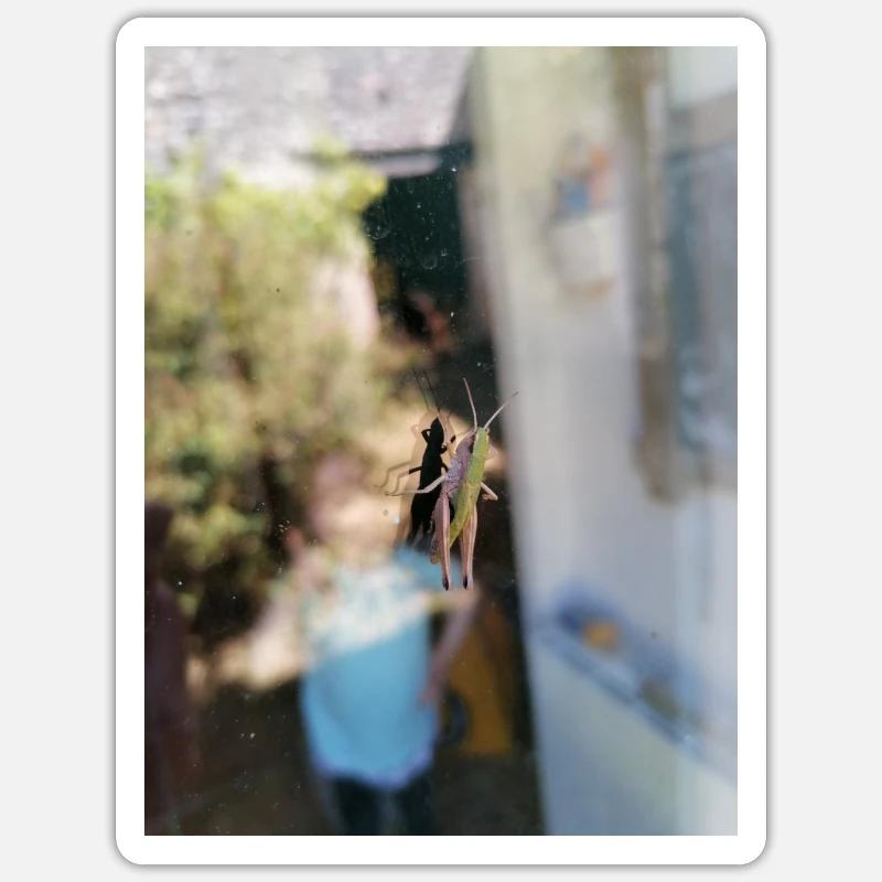 Window cricket - Sticker size S (10 x 10 cm) - white matte