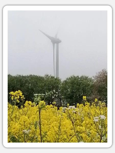 Windkraftanlage im Rapsfeld - Sticker Größe S (10 x 10 cm) - Mattweiß