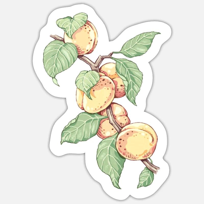 Ein Zweig Aprikosen oder Pfirsiche - Sticker Größe S (10 x 10 cm) - Mattweiß