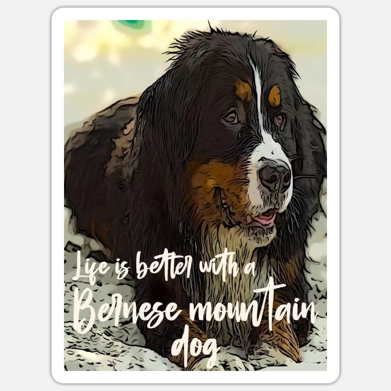 Bouvier bernois - Sticker taille S (10 x 10 cm) - blanc mat