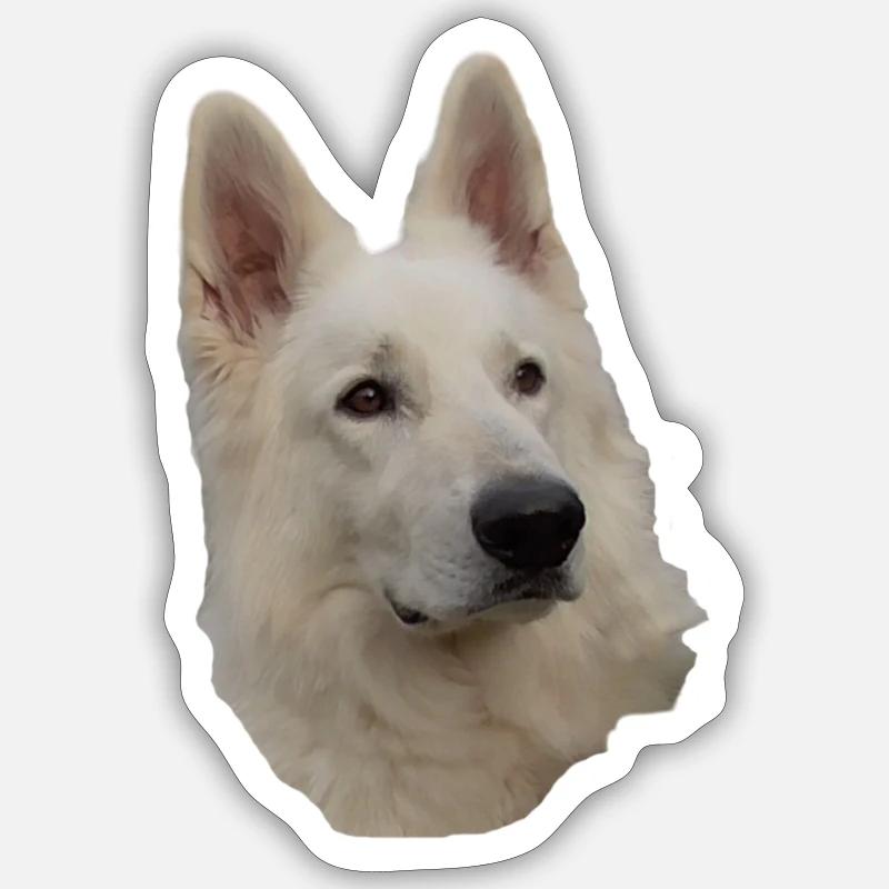 White Shepherd Head Sticker size S (10 x 10 cm)