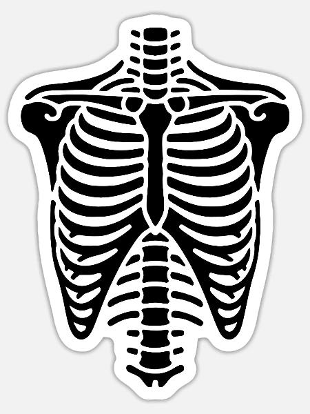 Brustkorb Skelett Thorax und Rippen Knochen - Sticker Größe S (10 x 10 cm) - Mattweiß