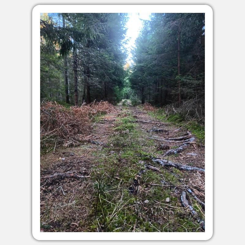 Chemin forestier - Sticker taille S (10 x 10 cm) - blanc mat