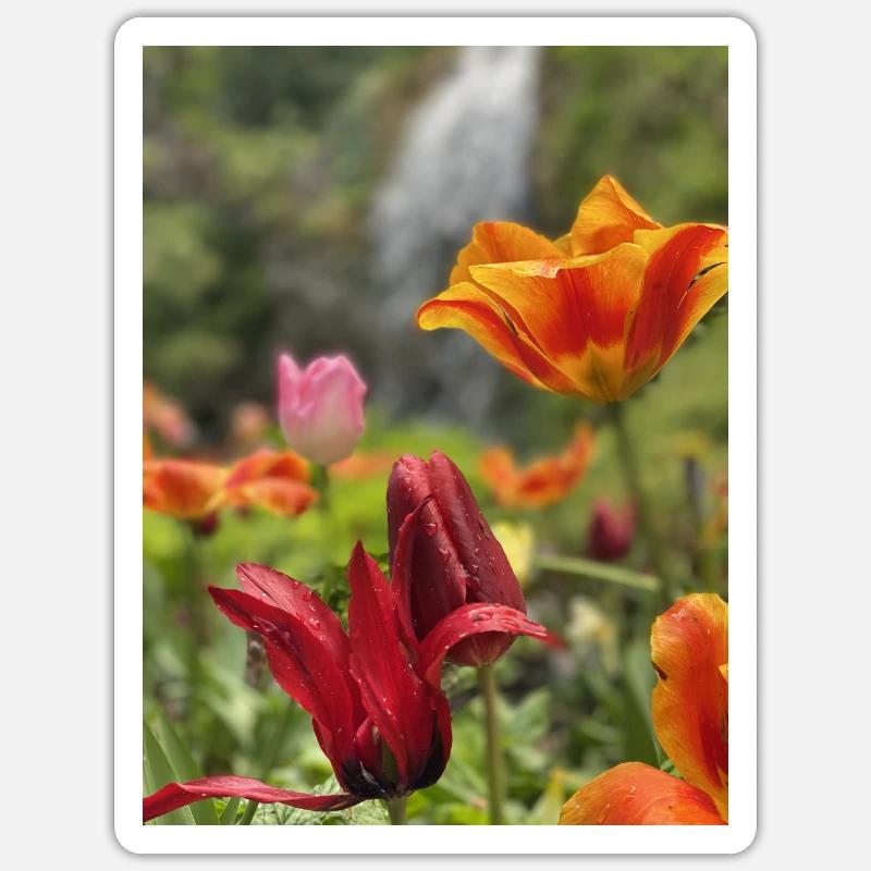 Tulipes colorées Sticker taille S (10 x 10 cm)