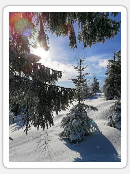 Winterwald Sonnenstrahlen im Schnee - Sticker Größe S (10 x 10 cm) - Mattweiß