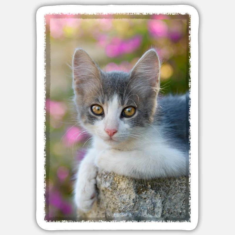 Cute gray-white kitten Sticker size S (10 x 10 cm)
