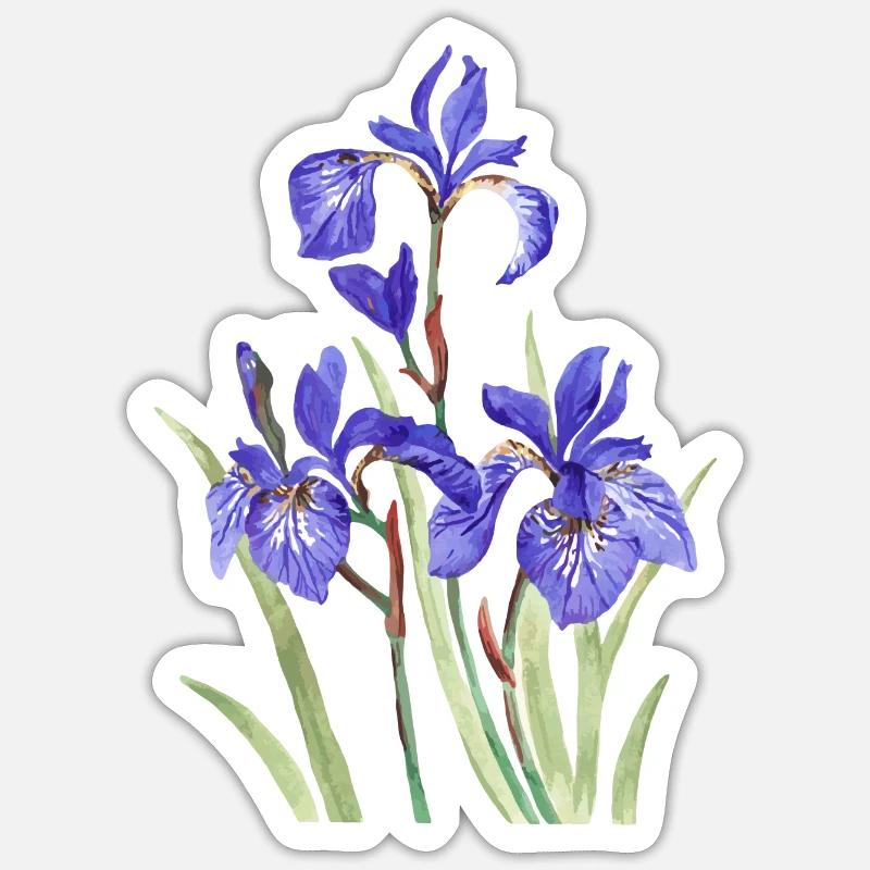 Iris violets Sticker taille S (10 x 10 cm)