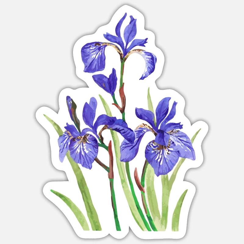 Irises - Sticker size S (10 x 10 cm) - white matte