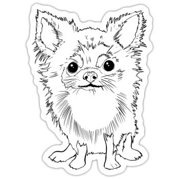 Chihuahua - Sticker Größe S (10 x 10 cm) - Mattweiß - Vorne