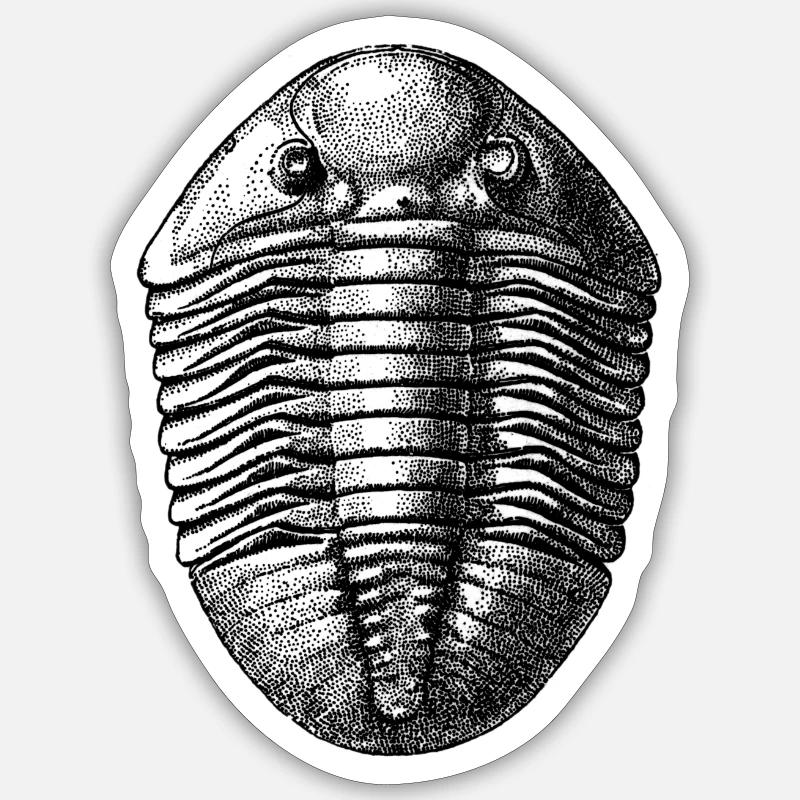 Asaphus espansus Sticker size S (10 x 10 cm)