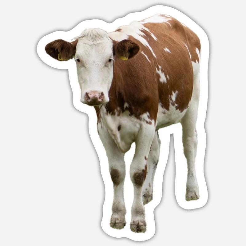 Vache - Sticker taille S (10 x 10 cm) - blanc mat