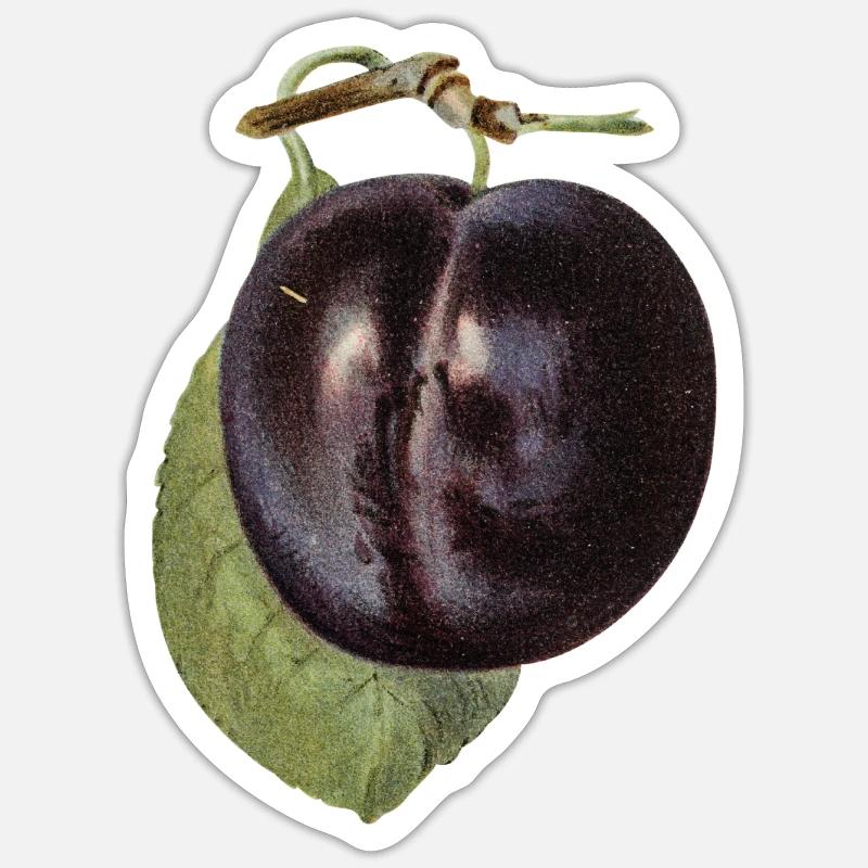 PLUM 3 - Sticker Größe S (10 x 10 cm) - Mattweiß