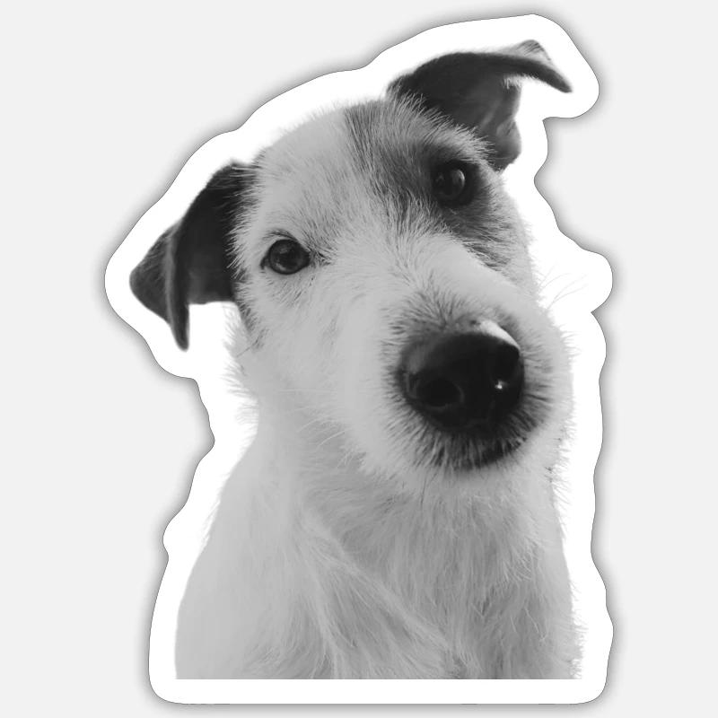 Klopfer der Jack Russel - Sticker Größe S (10 x 10 cm) - Mattweiß