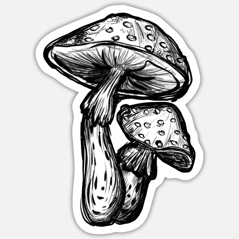 Toadstools Illustration - Sticker size S (10 x 10 cm) - white matte