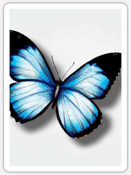 Blauer Schmetterling - Sticker Größe S (10 x 10 cm) - Mattweiß