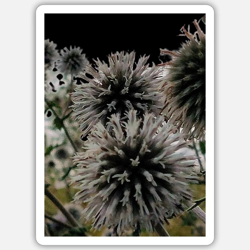 Empreinte sur les chardons - Sticker taille S (10 x 10 cm) - blanc mat