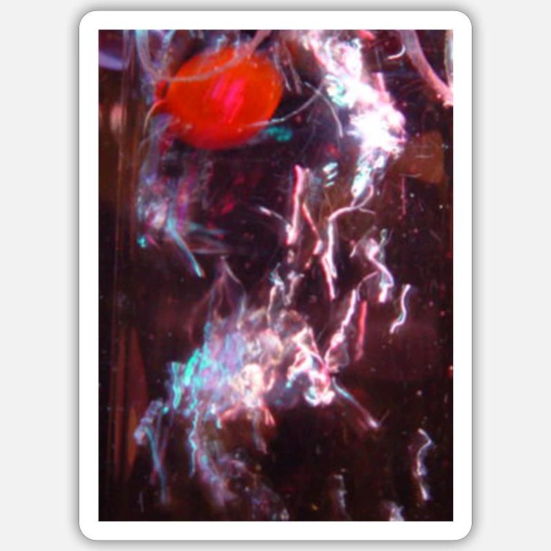 Neon Fluid Reflection - Sticker size S (10 x 10 cm) - white matte