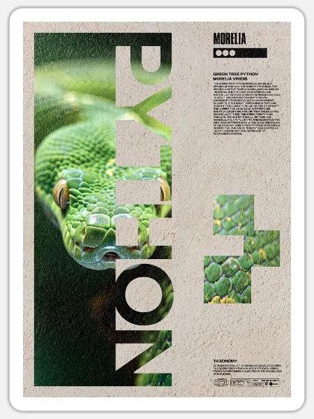 Green Tree Python Porträt - Sticker Größe S (10 x 10 cm) - Mattweiß