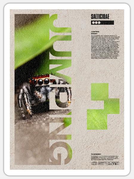 Jumping Spider Modern Art - Sticker Größe S (10 x 10 cm) - Mattweiß
