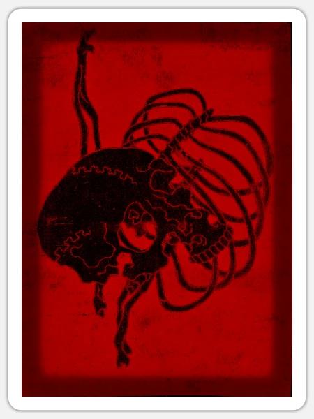 Schädelknochen - Sticker Größe S (10 x 10 cm) - Mattweiß