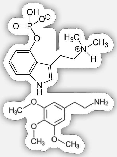 Psilocybin- und Meskalinmoleküle - Sticker Größe S (10 x 10 cm) - Mattweiß