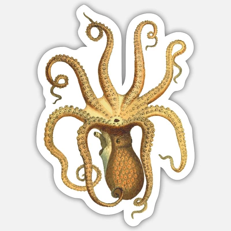 squid giant octopus octopus octopus squid sepia fish - Sticker size S (10 x 10 cm) - white matte