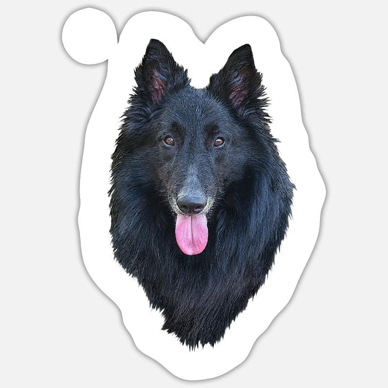 Belgian Shepherd Groenendael - Sticker size S (10 x 10 cm) - white matte