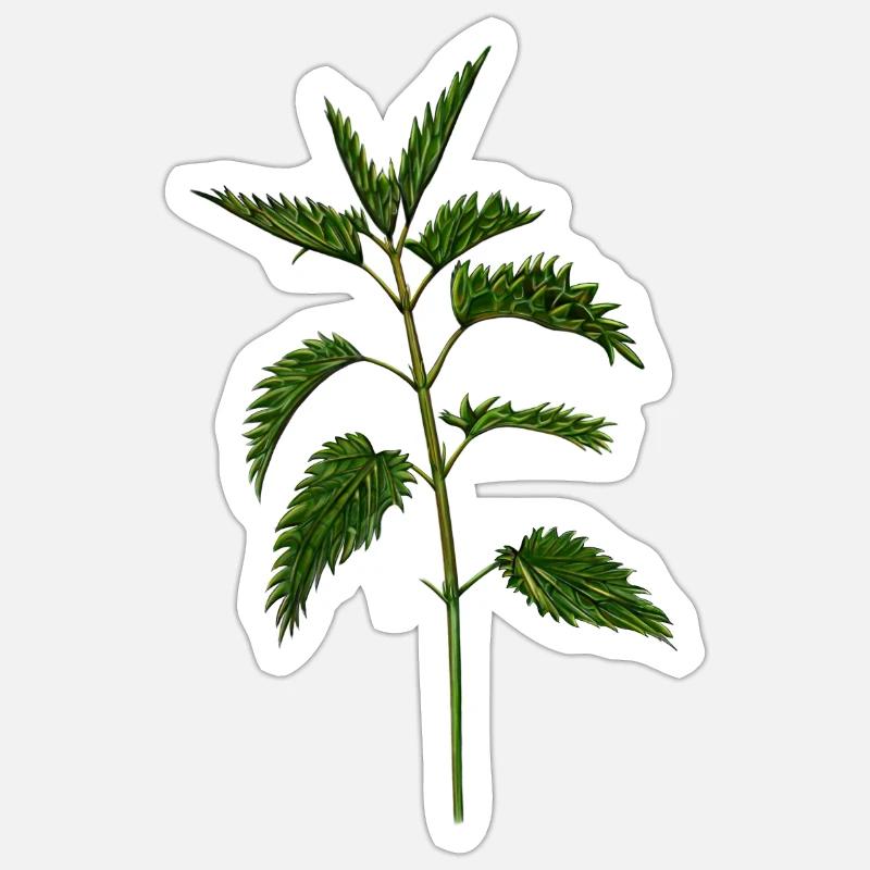 nettle - Sticker size S (10 x 10 cm) - white matte
