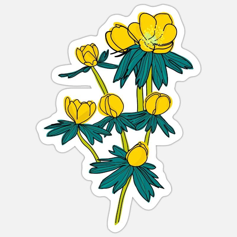 Winter Aconite2 - Sticker size S (10 x 10 cm) - white matte