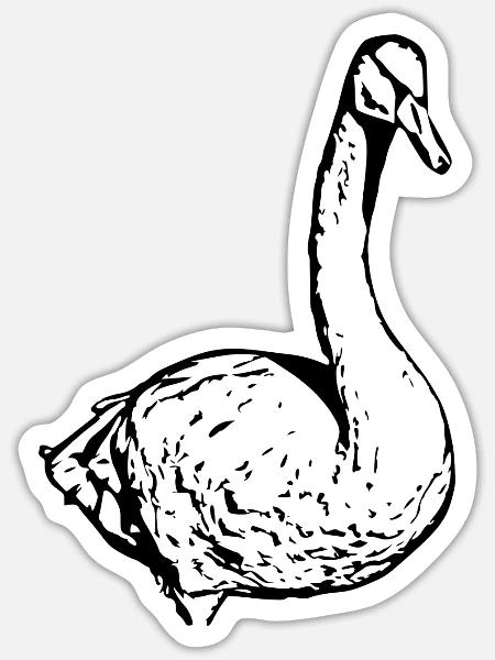 Schwan schwarz Ente Vogel Gans - Sticker Größe S (10 x 10 cm) - Mattweiß
