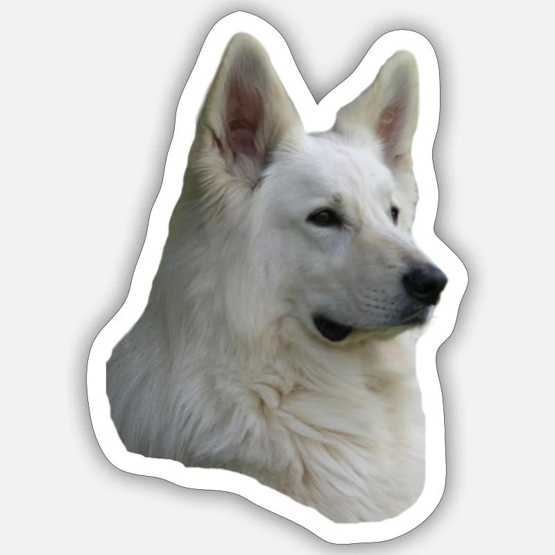 White Shepherd Head Sticker size S (10 x 10 cm)