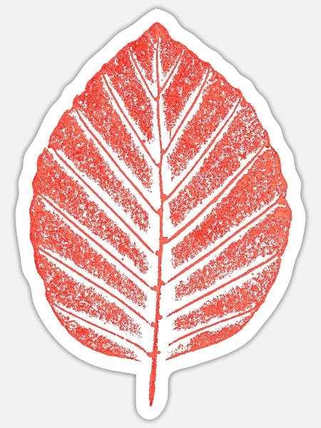 Buchenblatt / Blatt Rotbuche - Wald & Botanik - Sticker Größe S (10 x 10 cm) - Mattweiß