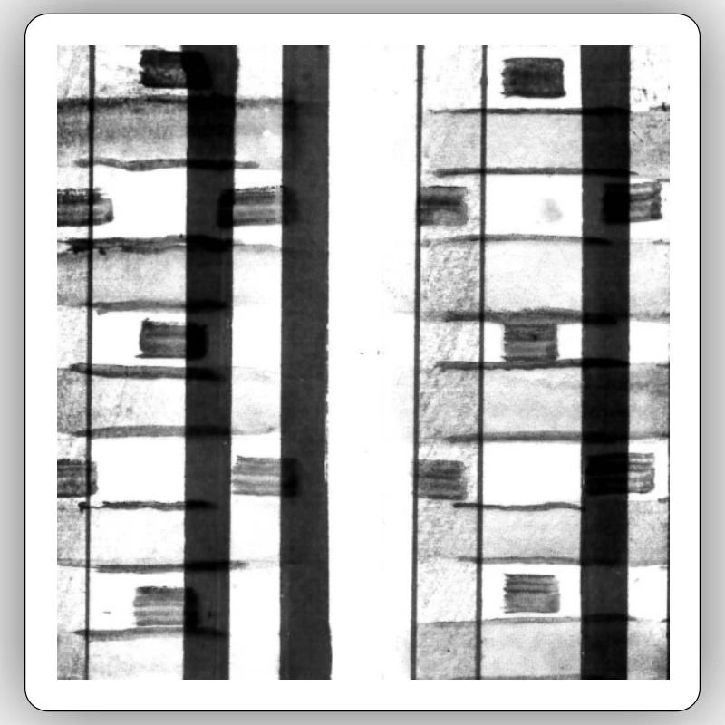Reason/1 - Sticker size S (10 x 10 cm) - white matte