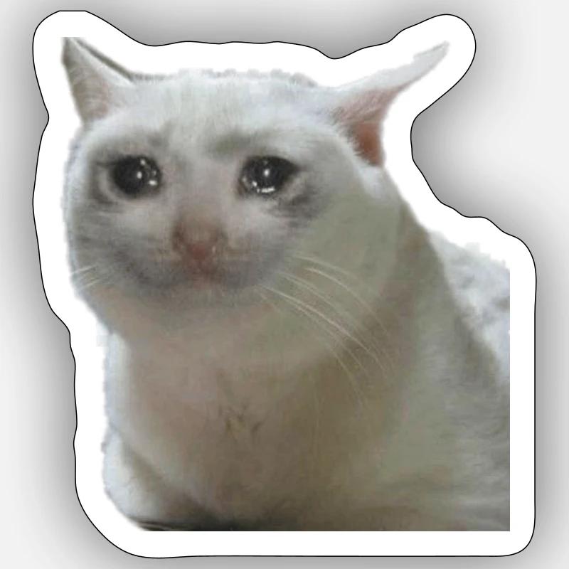 Chat meme Sticker taille S (10 x 10 cm)