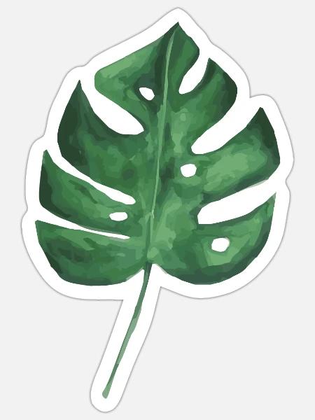 Großes grünes Blatt einer Monstera - Sticker Größe S (10 x 10 cm) - Mattweiß