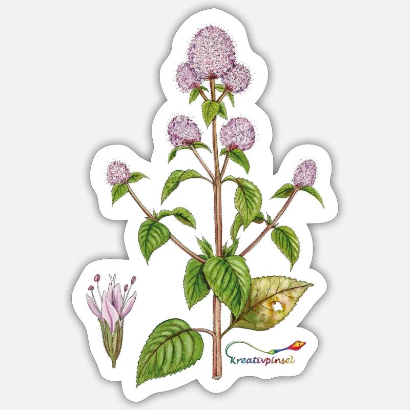 Water mint - Sticker size S (10 x 10 cm) - white matte
