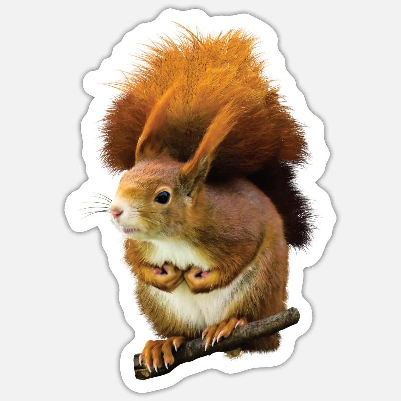 Eichhörnchen Süß niedlich putzig cool drollig Spaß Sticker Größe S (10 x 10 cm)